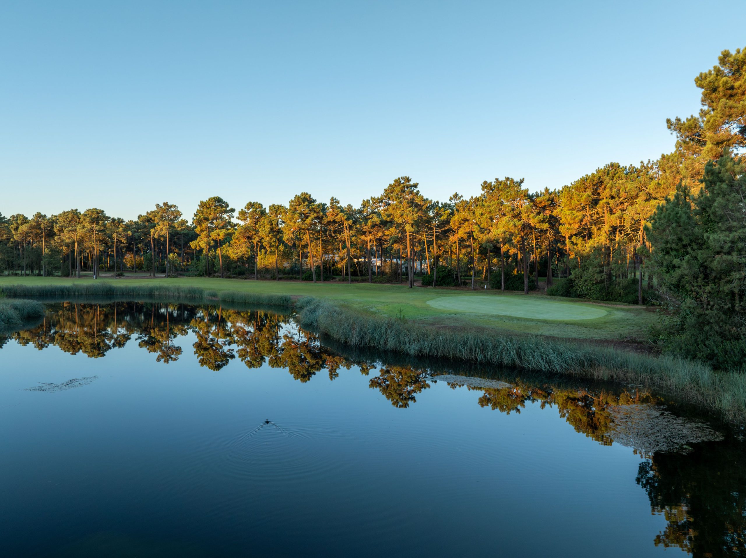 PGA Aroeira No.2